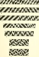 An illustration from Design texts : a practical treatise on textile design, cloth construction, fabric analysis and calculations (1910)
