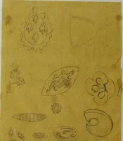 An illustration from [Design tracings (1875)