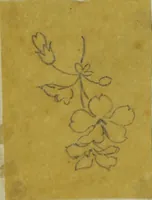 An illustration from [Design tracings (1875)