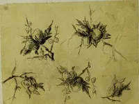 An illustration from [Design tracings (1875)