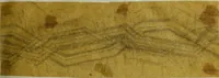 An illustration from [Design tracings (1875)