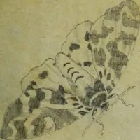 An illustration from [Design tracings (1875)