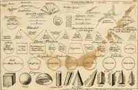 An illustration from Des Jacobi Barozzi von Vignola Grund Regeln über die fünff Säulen auffs neue zum fleissigsten ubersehen, mit unterschtedenen nöthingen Regeln vermehret und mit 50 rissern in Kupffer (1720)