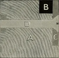 An illustration from Desk book of type specimens, borders, ornaments, brass rules and cuts : catalogue of printing machinery and printers' supplies (1900)