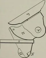 An illustration from Desk book of type specimens, borders, ornaments, brass rules and cuts : catalogue of printing machinery and printers' supplies (1900)