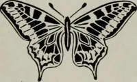 An illustration from Desk book of type specimens, borders, ornaments, brass rules and cuts : catalogue of printing machinery and printers' supplies (1900)