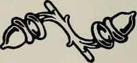 An illustration from Desk book of type specimens, borders, ornaments, brass rules and cuts : catalogue of printing machinery and printers' supplies (1900)