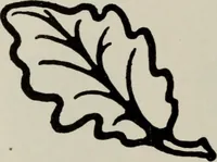 An illustration from Desk book of type specimens, borders, ornaments, brass rules and cuts : catalogue of printing machinery and printers' supplies (1900)