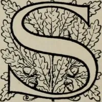 An illustration from Desk book of type specimens, borders, ornaments, brass rules and cuts : catalogue of printing machinery and printers' supplies (1900)