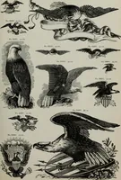 An illustration from Desk book of type specimens, borders, ornaments, brass rules and cuts : catalogue of printing machinery and printers' supplies (1900)