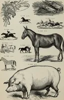 An illustration from Desk book of type specimens, borders, ornaments, brass rules and cuts : catalogue of printing machinery and printers' supplies (1900)