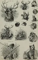An illustration from Desk book of type specimens, borders, ornaments, brass rules and cuts : catalogue of printing machinery and printers' supplies (1900)