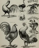 An illustration from Desk book of type specimens, borders, ornaments, brass rules and cuts : catalogue of printing machinery and printers' supplies (1900)