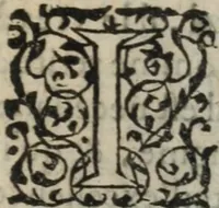 An illustration from Des occultes merveilles et secretz de nature, avec plusieurs enseignemens des choses diverses, tant pat raison probable, que par coniecture artificielle: exposées en deux liures, de non moindre plaisir que profit au lecteur studieux, avec deux tables, l'une des argumens des chapitres, l'autre des singulieres matieres d'iceux (1574)