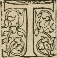 An illustration from Des occultes merveilles et secretz de nature, avec plusieurs enseignemens des choses diverses, tant pat raison probable, que par coniecture artificielle: exposées en deux liures, de non moindre plaisir que profit au lecteur studieux, avec deux tables, l'une des argumens des chapitres, l'autre des singulieres matieres d'iceux (1574)