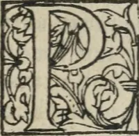 An illustration from Des occultes merveilles et secretz de nature, avec plusieurs enseignemens des choses diverses, tant pat raison probable, que par coniecture artificielle: exposées en deux liures, de non moindre plaisir que profit au lecteur studieux, avec deux tables, l'une des argumens des chapitres, l'autre des singulieres matieres d'iceux (1574)