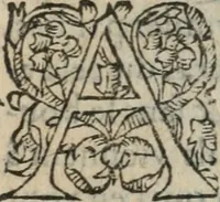 An illustration from Des occultes merveilles et secretz de nature, avec plusieurs enseignemens des choses diverses, tant pat raison probable, que par coniecture artificielle: exposées en deux liures, de non moindre plaisir que profit au lecteur studieux, avec deux tables, l'une des argumens des chapitres, l'autre des singulieres matieres d'iceux (1574)