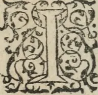 An illustration from Des occultes merveilles et secretz de nature, avec plusieurs enseignemens des choses diverses, tant pat raison probable, que par coniecture artificielle: exposées en deux liures, de non moindre plaisir que profit au lecteur studieux, avec deux tables, l'une des argumens des chapitres, l'autre des singulieres matieres d'iceux (1574)