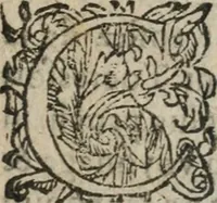 An illustration from Des occultes merveilles et secretz de nature, avec plusieurs enseignemens des choses diverses, tant pat raison probable, que par coniecture artificielle: exposées en deux liures, de non moindre plaisir que profit au lecteur studieux, avec deux tables, l'une des argumens des chapitres, l'autre des singulieres matieres d'iceux (1574)