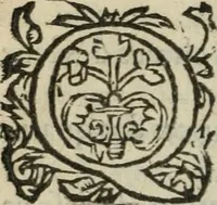 An illustration from Des occultes merveilles et secretz de nature, avec plusieurs enseignemens des choses diverses, tant pat raison probable, que par coniecture artificielle: exposées en deux liures, de non moindre plaisir que profit au lecteur studieux, avec deux tables, l'une des argumens des chapitres, l'autre des singulieres matieres d'iceux (1574)