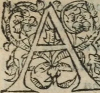 An illustration from Des occultes merveilles et secretz de nature, avec plusieurs enseignemens des choses diverses, tant pat raison probable, que par coniecture artificielle: exposées en deux liures, de non moindre plaisir que profit au lecteur studieux, avec deux tables, l'une des argumens des chapitres, l'autre des singulieres matieres d'iceux (1574)