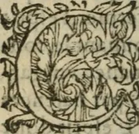 An illustration from Des occultes merveilles et secretz de nature, avec plusieurs enseignemens des choses diverses, tant pat raison probable, que par coniecture artificielle: exposées en deux liures, de non moindre plaisir que profit au lecteur studieux, avec deux tables, l'une des argumens des chapitres, l'autre des singulieres matieres d'iceux (1574)