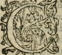 An illustration from Des occultes merveilles et secretz de nature, avec plusieurs enseignemens des choses diverses, tant pat raison probable, que par coniecture artificielle: exposées en deux liures, de non moindre plaisir que profit au lecteur studieux, avec deux tables, l'une des argumens des chapitres, l'autre des singulieres matieres d'iceux (1574)
