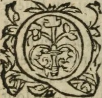 An illustration from Des occultes merveilles et secretz de nature, avec plusieurs enseignemens des choses diverses, tant pat raison probable, que par coniecture artificielle: exposées en deux liures, de non moindre plaisir que profit au lecteur studieux, avec deux tables, l'une des argumens des chapitres, l'autre des singulieres matieres d'iceux (1574)