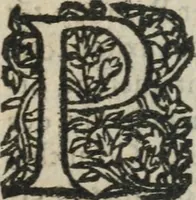 An illustration from Des occultes merveilles et secretz de nature, avec plusieurs enseignemens des choses diverses, tant pat raison probable, que par coniecture artificielle: exposées en deux liures, de non moindre plaisir que profit au lecteur studieux, avec deux tables, l'une des argumens des chapitres, l'autre des singulieres matieres d'iceux (1574)
