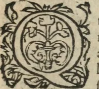 An illustration from Des occultes merveilles et secretz de nature, avec plusieurs enseignemens des choses diverses, tant pat raison probable, que par coniecture artificielle: exposées en deux liures, de non moindre plaisir que profit au lecteur studieux, avec deux tables, l'une des argumens des chapitres, l'autre des singulieres matieres d'iceux (1574)