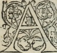 An illustration from Des occultes merveilles et secretz de nature, avec plusieurs enseignemens des choses diverses, tant pat raison probable, que par coniecture artificielle: exposées en deux liures, de non moindre plaisir que profit au lecteur studieux, avec deux tables, l'une des argumens des chapitres, l'autre des singulieres matieres d'iceux (1574)