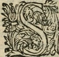 An illustration from Des occultes merveilles et secretz de nature, avec plusieurs enseignemens des choses diverses, tant pat raison probable, que par coniecture artificielle: exposées en deux liures, de non moindre plaisir que profit au lecteur studieux, avec deux tables, l'une des argumens des chapitres, l'autre des singulieres matieres d'iceux (1574)