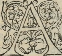 Picture 42 of 42 from Des occultes merveilles et secretz de nature, avec plusieurs enseignemens des choses diverses, tant pat raison probable, que par coniecture artificielle: exposées en deux liures, de non moindre plaisir que profit au lecteur studieux, avec deux tables, l'une des argumens des chapitres, l'autre des singulieres matieres d'iceux (1574), leaf 428