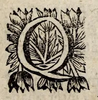 Picture 4 of 6 from De spectris, lemuribus et magnis atque insolitis fragoribus, variisque praesagitionibus, quae plerunque obitum hominum, magnas clades, mutationesque imperiorum praecedunt, liber unus. In tres partes distributus. Omnibus veritatis studiosis summe utilis (1687), leaf 19