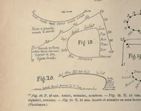 Picture 2 of 5 from Des phenomenes de synopsie (audition coloree) : photismes, schemes, visuels, personnifications (1893), leaf 170