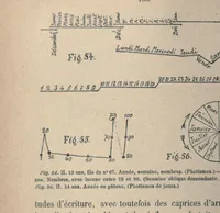 An illustration from Des phenomenes de synopsie (audition coloree) : photismes, schemes, visuels, personnifications (1893)