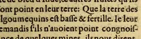 An illustration from Des sauuages, ou, Voyage de Samuel Champlain, de Brouage, fait en la France nouuelle, l'an mil six cens trois: . (1603)