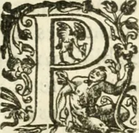 An illustration from Desseins de professions nobles et publiques : contenans plusieurs traités divers & rares : avec l'histoire de la maison de Bourbon (1612)
