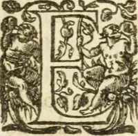 An illustration from Desseins de professions nobles et publiques : contenans plusieurs traités divers & rares : avec l'histoire de la maison de Bourbon (1612)
