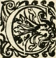 An illustration from Desseins de professions nobles et publiques : contenans plusieurs traités divers & rares : avec l'histoire de la maison de Bourbon (1612)