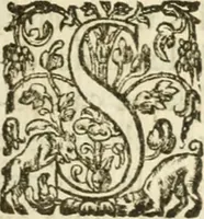 An illustration from Desseins de professions nobles et publiques : contenans plusieurs traités divers & rares : avec l'histoire de la maison de Bourbon (1612)