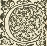 An illustration from Desseins de professions nobles et publiques : contenans plusieurs traités divers & rares : avec l'histoire de la maison de Bourbon (1612)