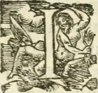 An illustration from Desseins de professions nobles et publiques : contenans plusieurs traités divers & rares : avec l'histoire de la maison de Bourbon (1612)