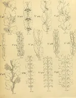 An illustration from Dessins d'ornements d'architecture de Joseph Beunat : reproduction de l'ouvrage, epoque du premier Empire (1900)