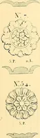 An illustration from Dessins d'ornements d'architecture de Joseph Beunat : reproduction de l'ouvrage, epoque du premier Empire (1900)