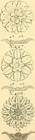 An illustration from Dessins d'ornements d'architecture de Joseph Beunat : reproduction de l'ouvrage, epoque du premier Empire (1900)