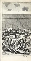Picture 33 of 41 from De ss. martyrum cruciatibus liber : quo instrumenta & modi quibus ijdem martyres olim torquebantur, simul perspicuè descripta, & tabulis aeneis accuratissimè expressa sunt (1668), leaf 445