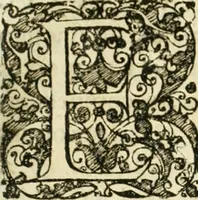 An illustration from De statu publico Europae novissimo tractatus, in quo unà cùm aliis nobilissimis atque utilissimis materiis juris publici, practici magis, quàm speculativi, illustres controversiae, praetensiones, judicia politica, praecedentiarum quaestiones & decisiones, tàm in comitiis imperii, quàm alibi agitatae, reperiuntur. Quibus insuper accesserunt, instar commentarii, paratitla de aurea bulla, recessibus imperii, ordinatione camerali, pace religiosa & profana, item capitulatione caesarea (1675)