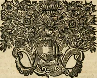 An illustration from De statu publico Europae novissimo tractatus, in quo unà cùm aliis nobilissimis atque utilissimis materiis juris publici, practici magis, quàm speculativi, illustres controversiae, praetensiones, judicia politica, praecedentiarum quaestiones & decisiones, tàm in comitiis imperii, quàm alibi agitatae, reperiuntur. Quibus insuper accesserunt, instar commentarii, paratitla de aurea bulla, recessibus imperii, ordinatione camerali, pace religiosa & profana, item capitulatione caesarea (1675)
