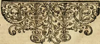 An illustration from De statu publico Europae novissimo tractatus, in quo unà cùm aliis nobilissimis atque utilissimis materiis juris publici, practici magis, quàm speculativi, illustres controversiae, praetensiones, judicia politica, praecedentiarum quaestiones & decisiones, tàm in comitiis imperii, quàm alibi agitatae, reperiuntur. Quibus insuper accesserunt, instar commentarii, paratitla de aurea bulla, recessibus imperii, ordinatione camerali, pace religiosa & profana, item capitulatione caesarea (1675)